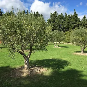Terre Des Anges 4* Sarrians